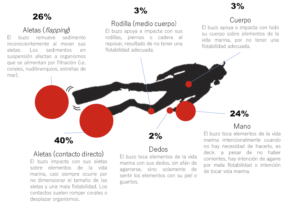 Figura 5 . ¿Con qué contactan los buzos sobre la vida y sustrato marino? Porcentajes con relación al número de contactos según parte del cuerpo y equipo del buzo. Fuente: Monitoreos submarinos del proyecto DiveStat. Clic para agrandar.