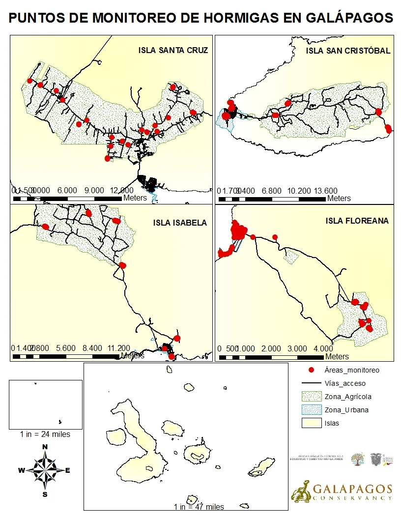 Figura 2b. Puntos de monitoreo de hormigas en las islas pobladas de Galápagos. Clic para agrandar.