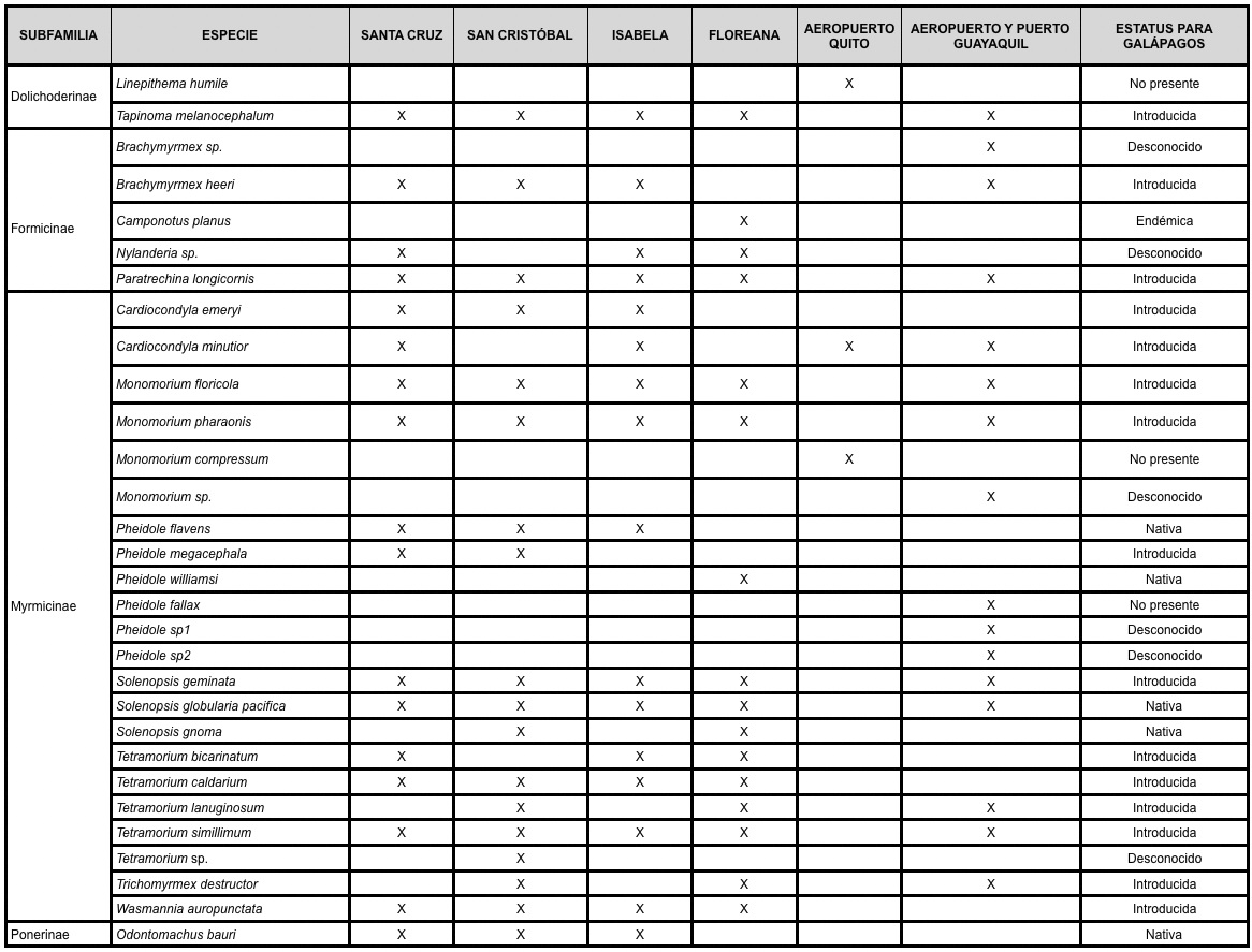Tabla 1 . Lista de especies colectadas durante monitoreo en las islas pobladas de la provincia de Galápagos; y en los aeropuertos Mariscal Sucre de Quito y José Joaquín de Olmedo de Guayaquil, el muelle Caraguay y PuertoGal. (Una “X“ indica la presencia de la especie en la ubicación.) Clic para agrandar.