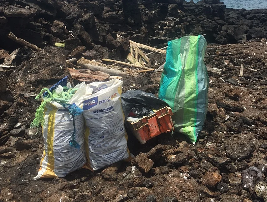 Figure 6 . Debris collected from a local beach. Photo: Sofia Green