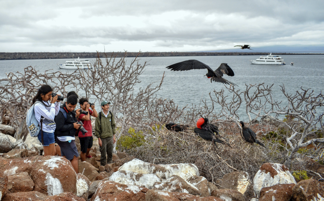 Figure 16 . Field trip to North Seymour Island. Photo: Andrés Morales