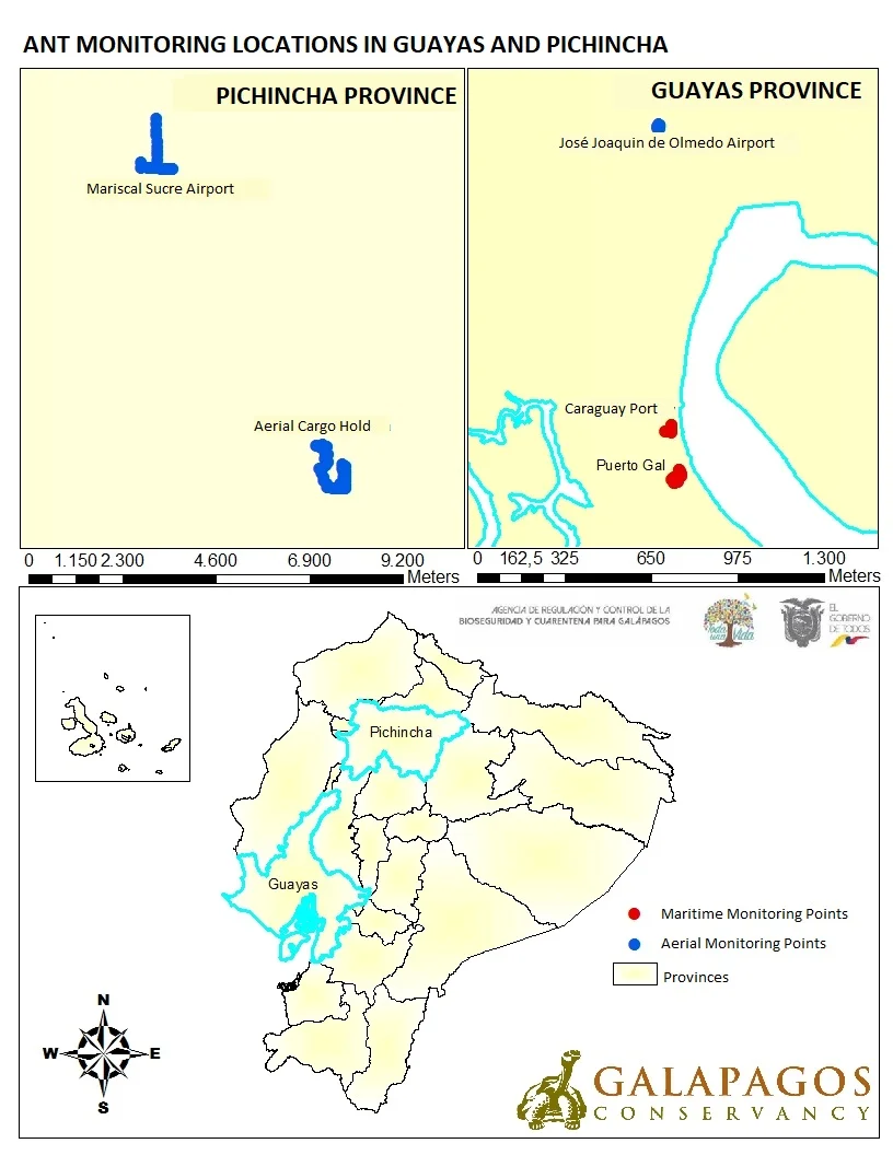 Figure 2a. Ant monitoring sites in mainland Ecuador and in the populated islands of Galapagos. Click to enlarge.