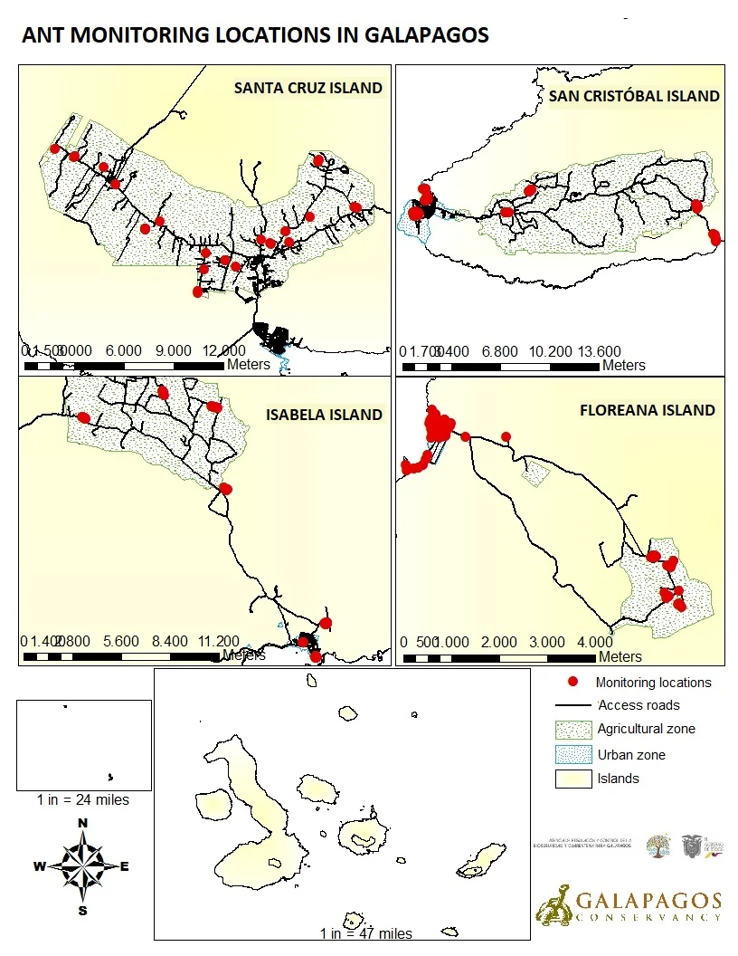 Figure 2b. Ant monitoring sites in mainland Ecuador and in the populated islands of Galapagos. Click to enlarge.
