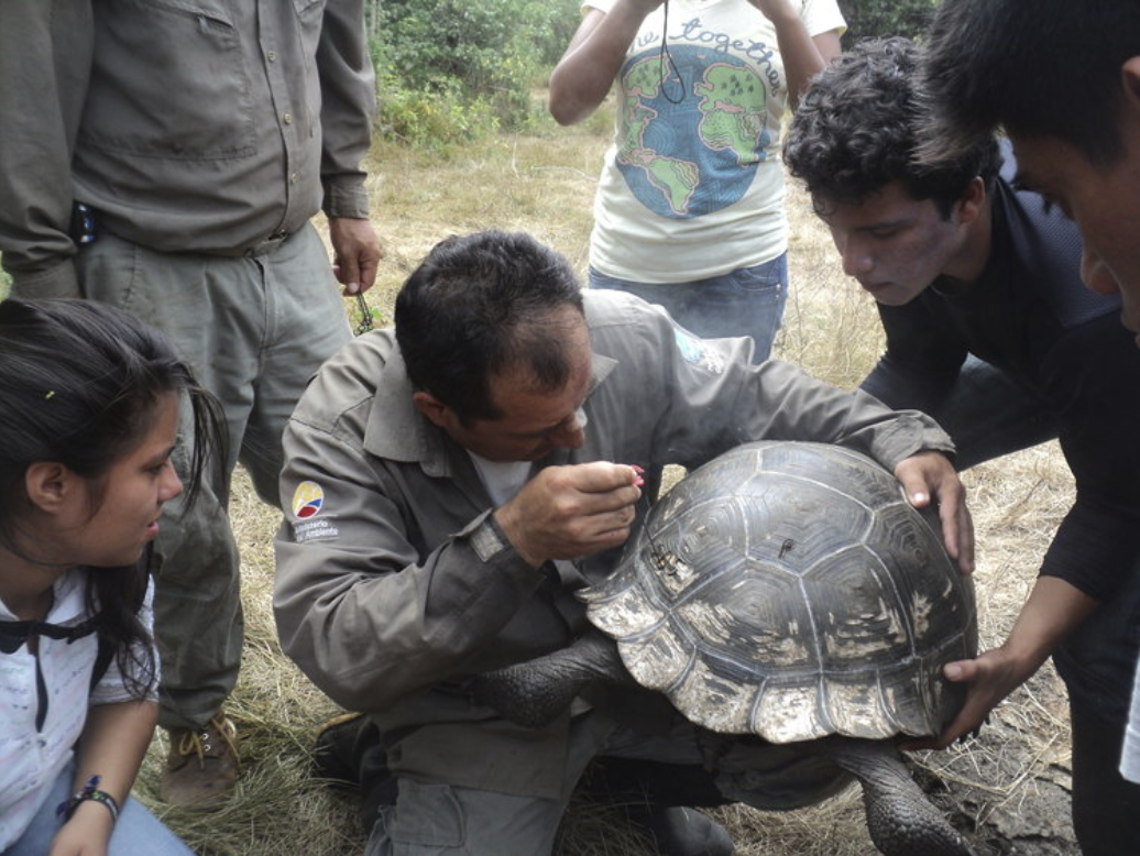 Figure 5 . Monitoring a giant tortoise is a unique and unforgettable experience for students. Photo: EPI Archive