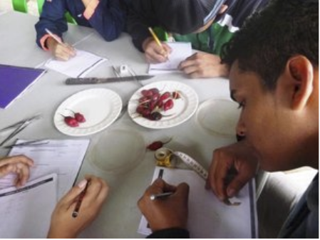 Figure 6 . Using the scientific method, a student from the Colegio Nacional Galápagos analyses data to affirm or reject his hypothesis. Photo: EPI Archive