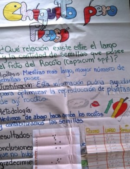 Figure 7 . Students prepare a poster to present the results of their findings. Photo: EPI Archive