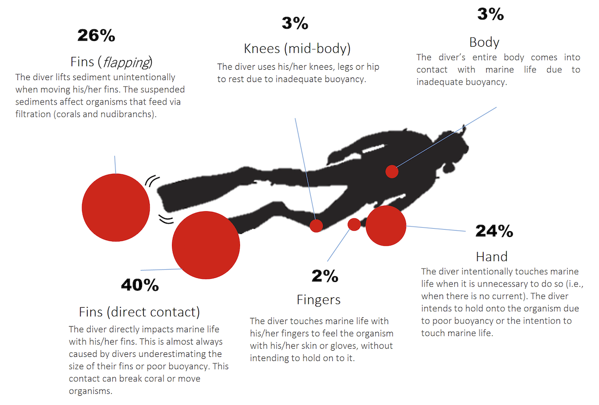 Figure 5. What sort of contact do divers make with marine life and substrate? Percentages relative to the number of contacts by each part of the body and dive equipment. Source: Underwater monitoring by the DiveStat project. Click to enlarge.