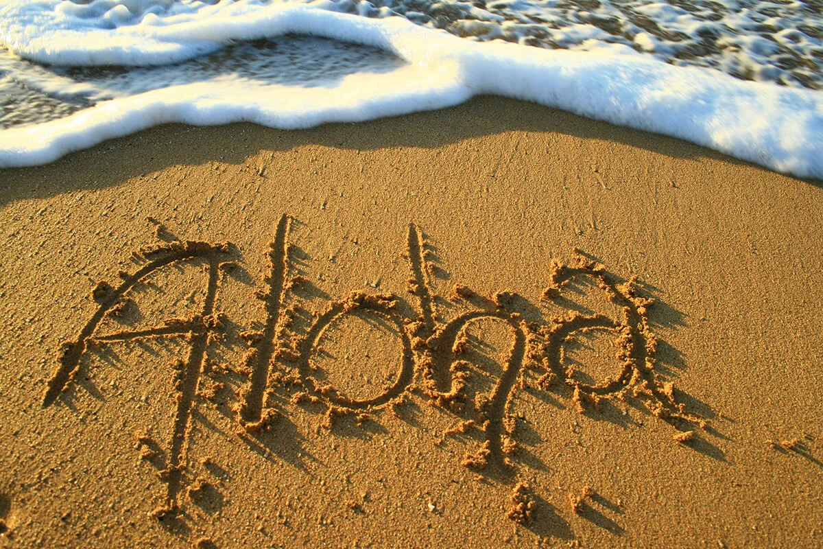 shutterstock_16210156 copy.jpg