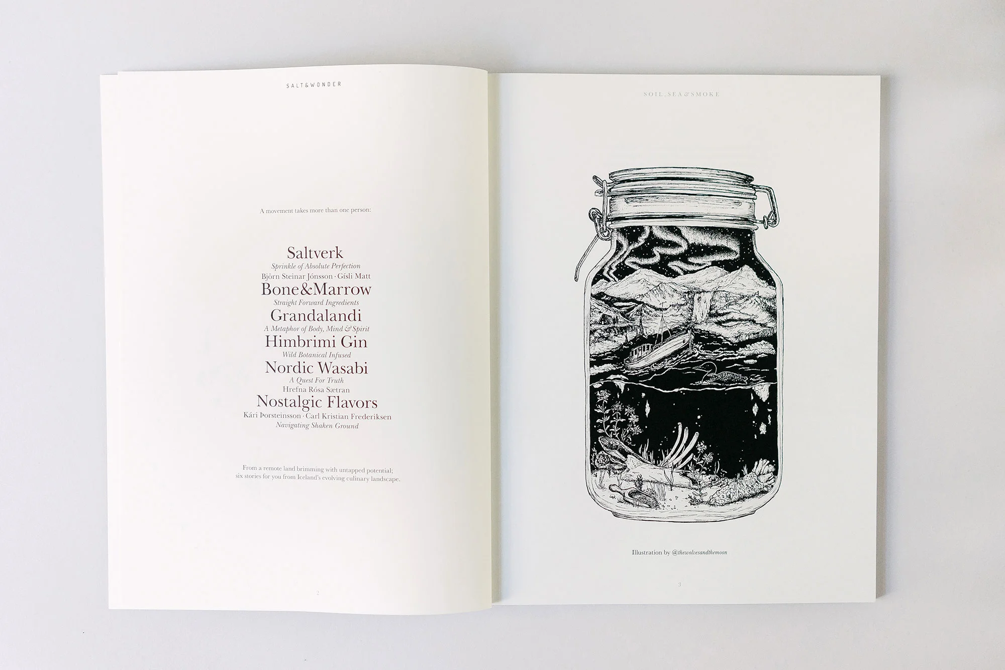 saltandwonder_issue02_DSC02436.jpg