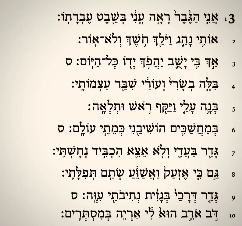 What Do we Do with Lamentations?