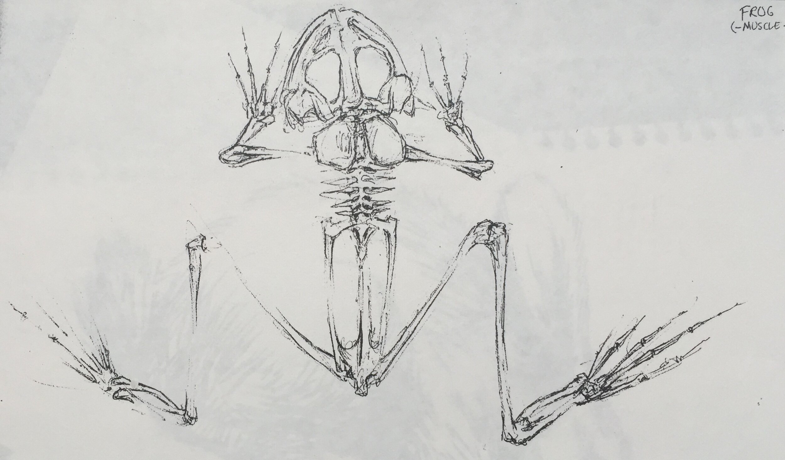 C562208A-C34F-450D-8D91-93335510146C.jpeg