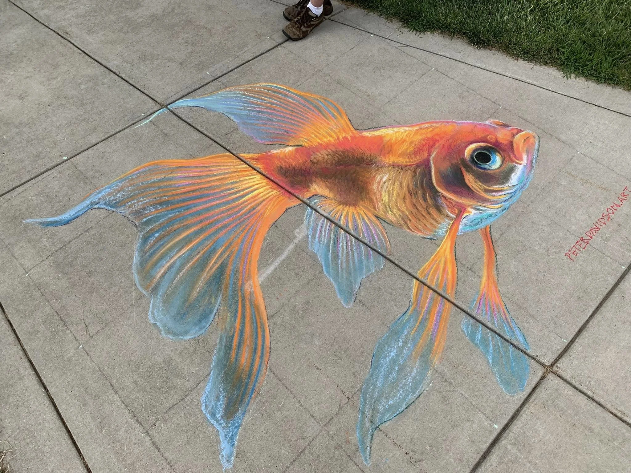 goldfish.jpg