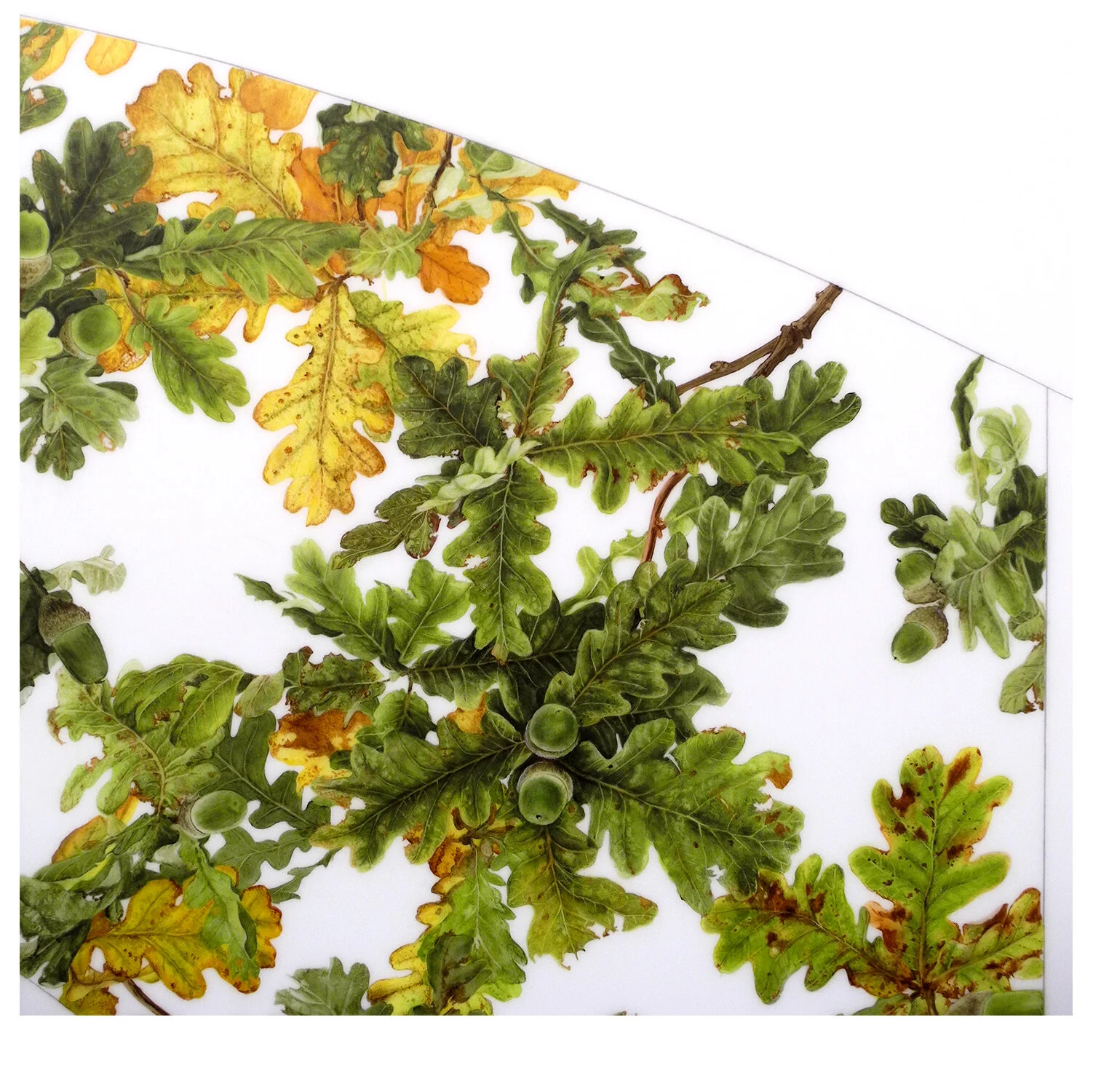     Archives 4 (Quercis)    Detail     