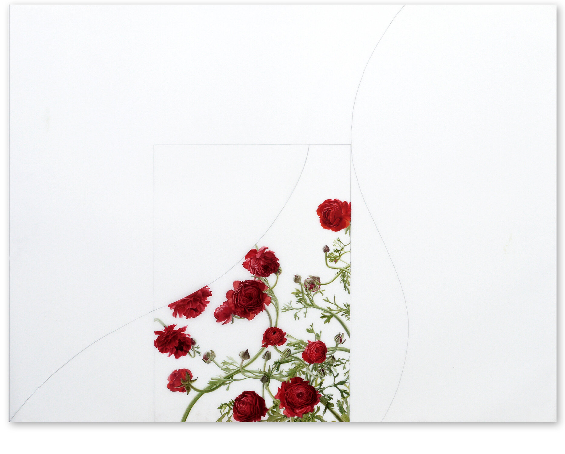     Fact &amp; Fancy 6     2013,   28 ½″ x 38 ½″, oil and graphite on Duralar    (Private Collection)     