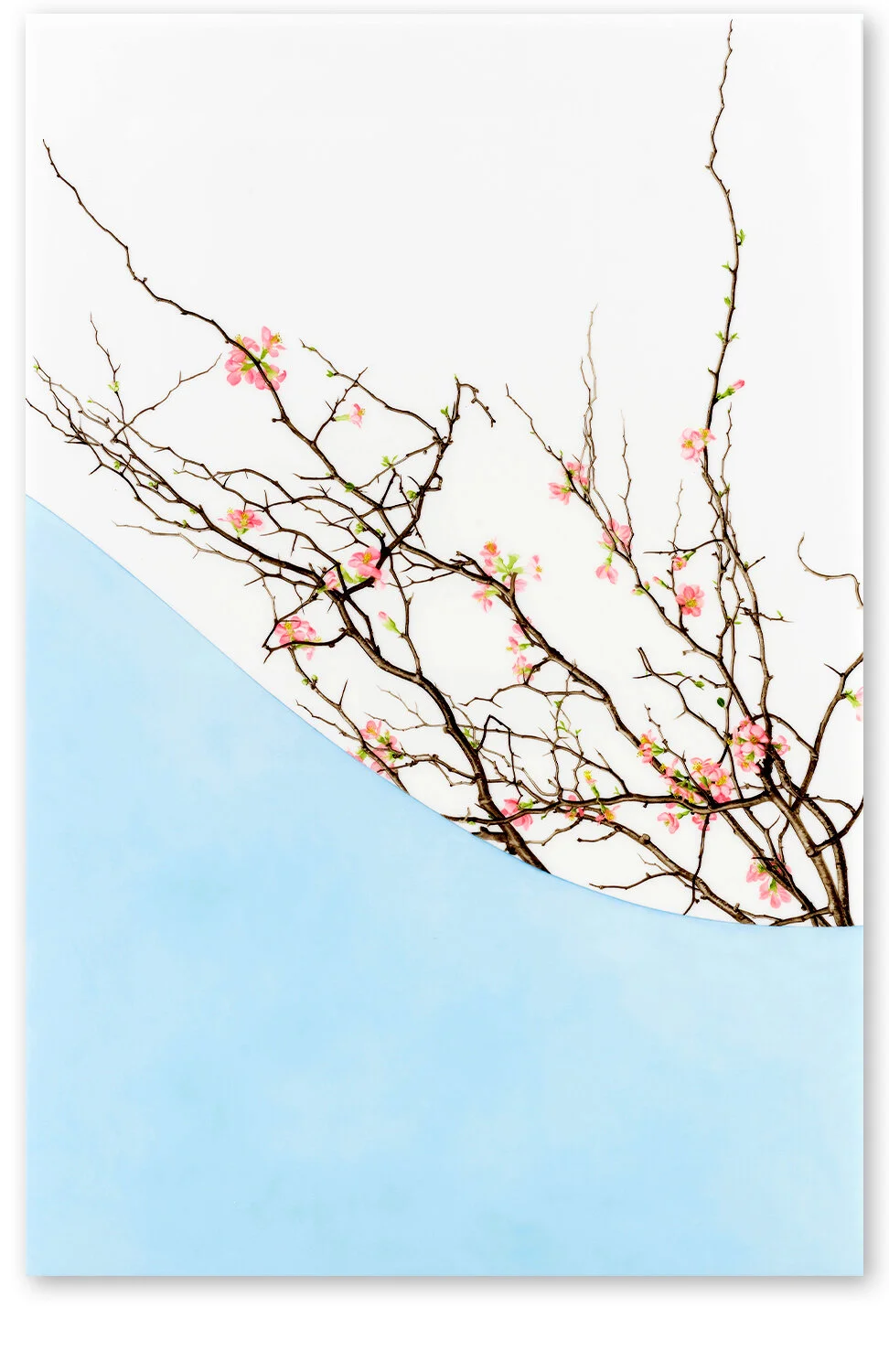     Arc XI     2018, 51″ x 34″, oil on Duralar     