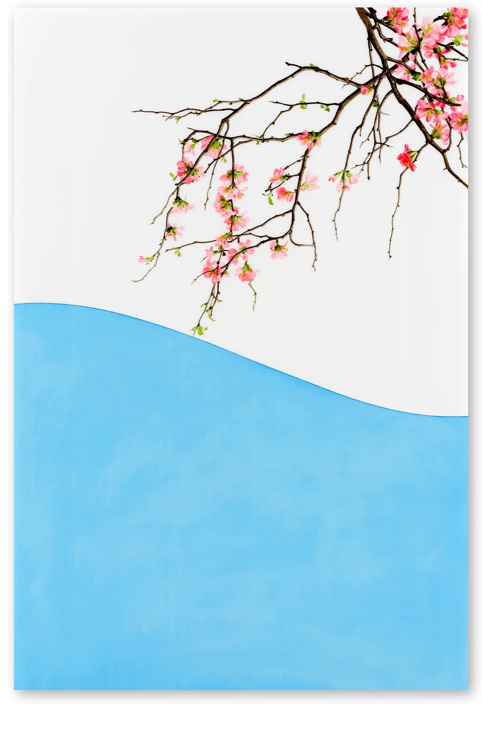     Arc XII     2018, 51″ x 34″, oil on Duralar     