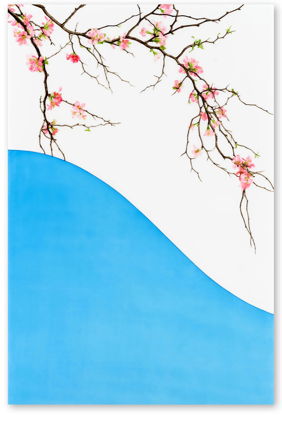     Arc XIII     2018, 51″ x 34″, oil on Duralar     