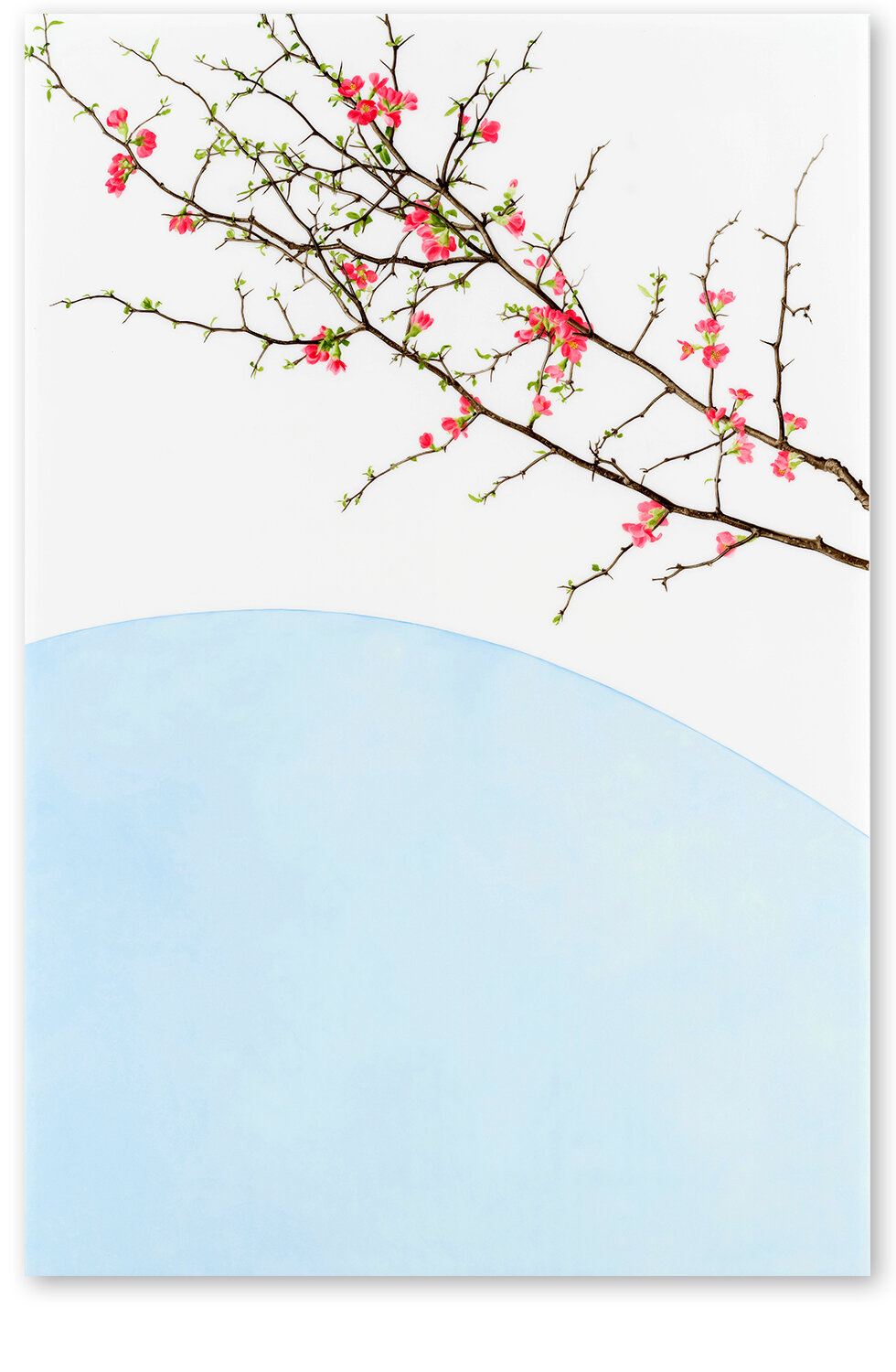     Arc XIV     2018, 51″ x 34″, oil on Duralar  (Private Collection)     