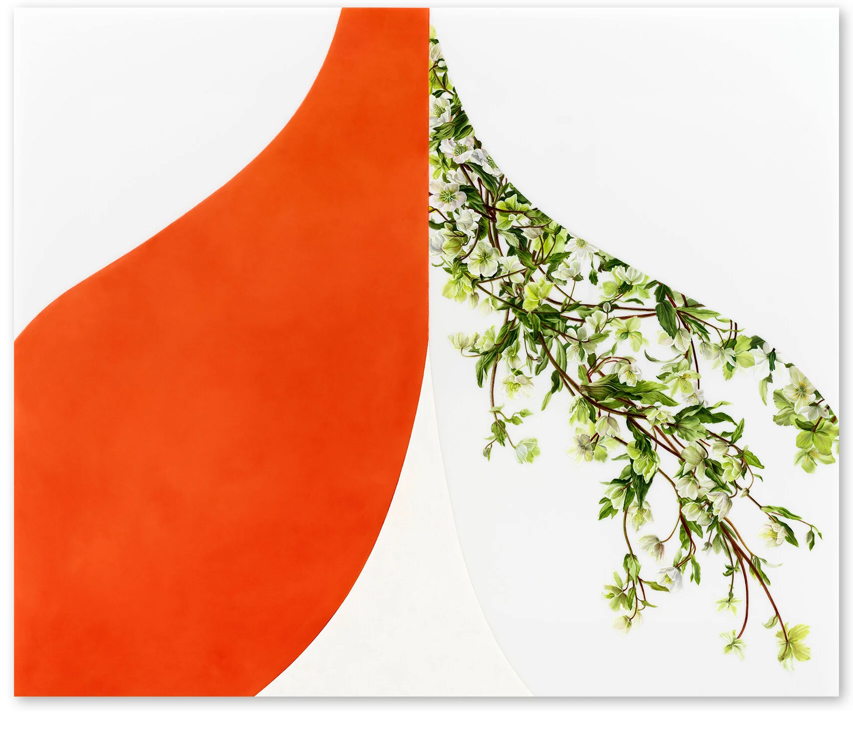     Arc VII (Red Double)    2016–17, 40″ x 48″, oil on Duralar    (Private Collection)     