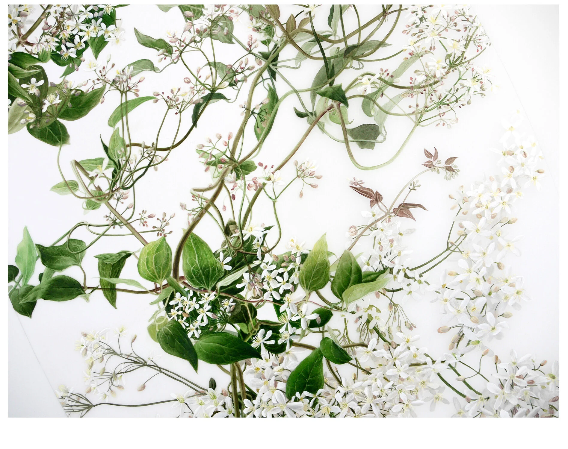     Arc X (Double Pitch)    Detail     