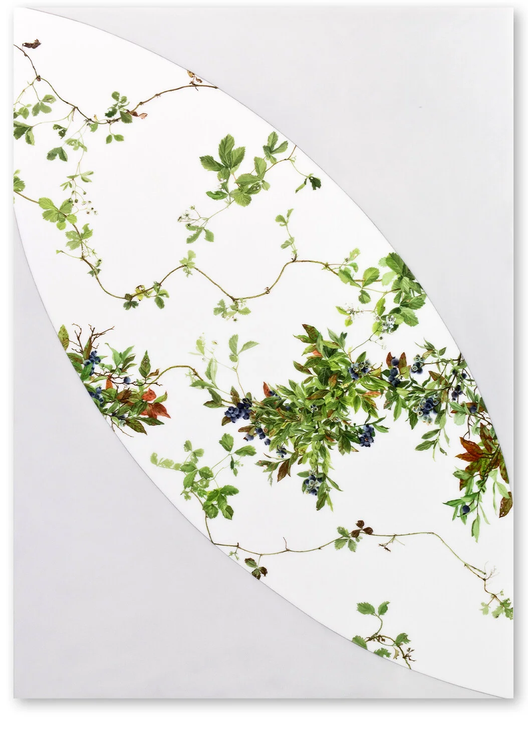   Cartouche 1  2015–2018, 42″ x 30″, oil on Duralar  (Private Collection)   