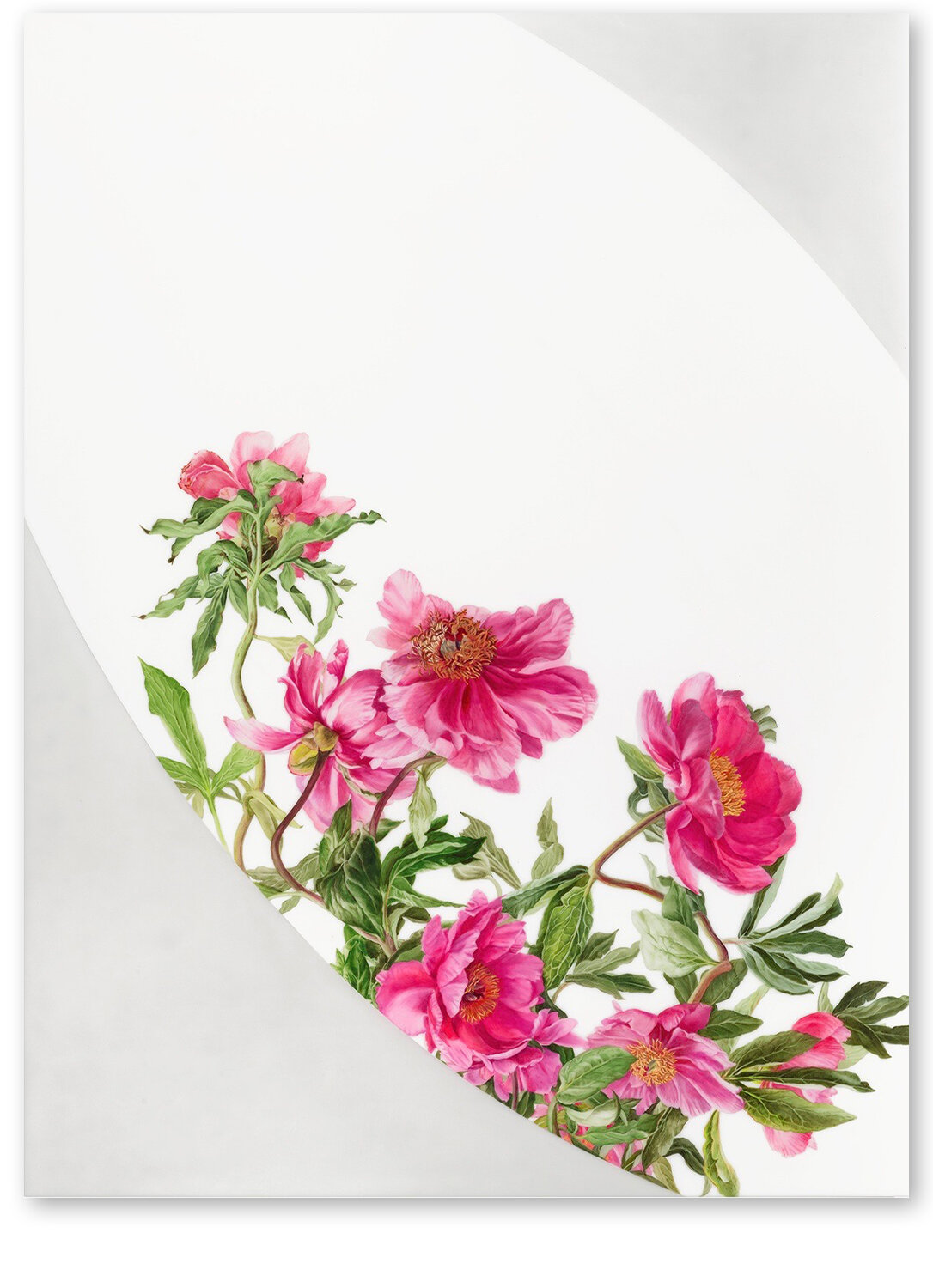     Cartouche 3     2015–2018 ,  40″ x 30″, oil on Duralar    (Courtesy of Texas Gallery) 