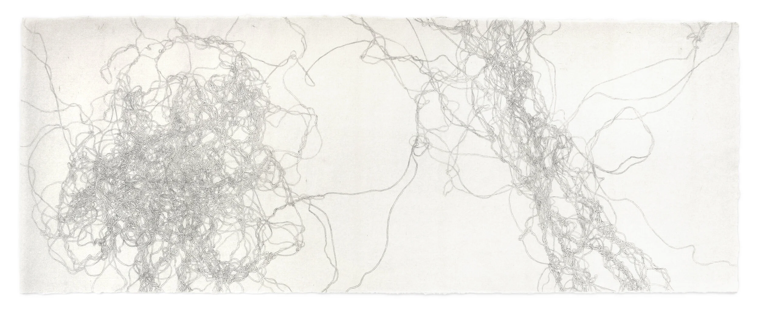   Conversation No. 2  2020, 14 3/4” x 39”, graphite on paper 