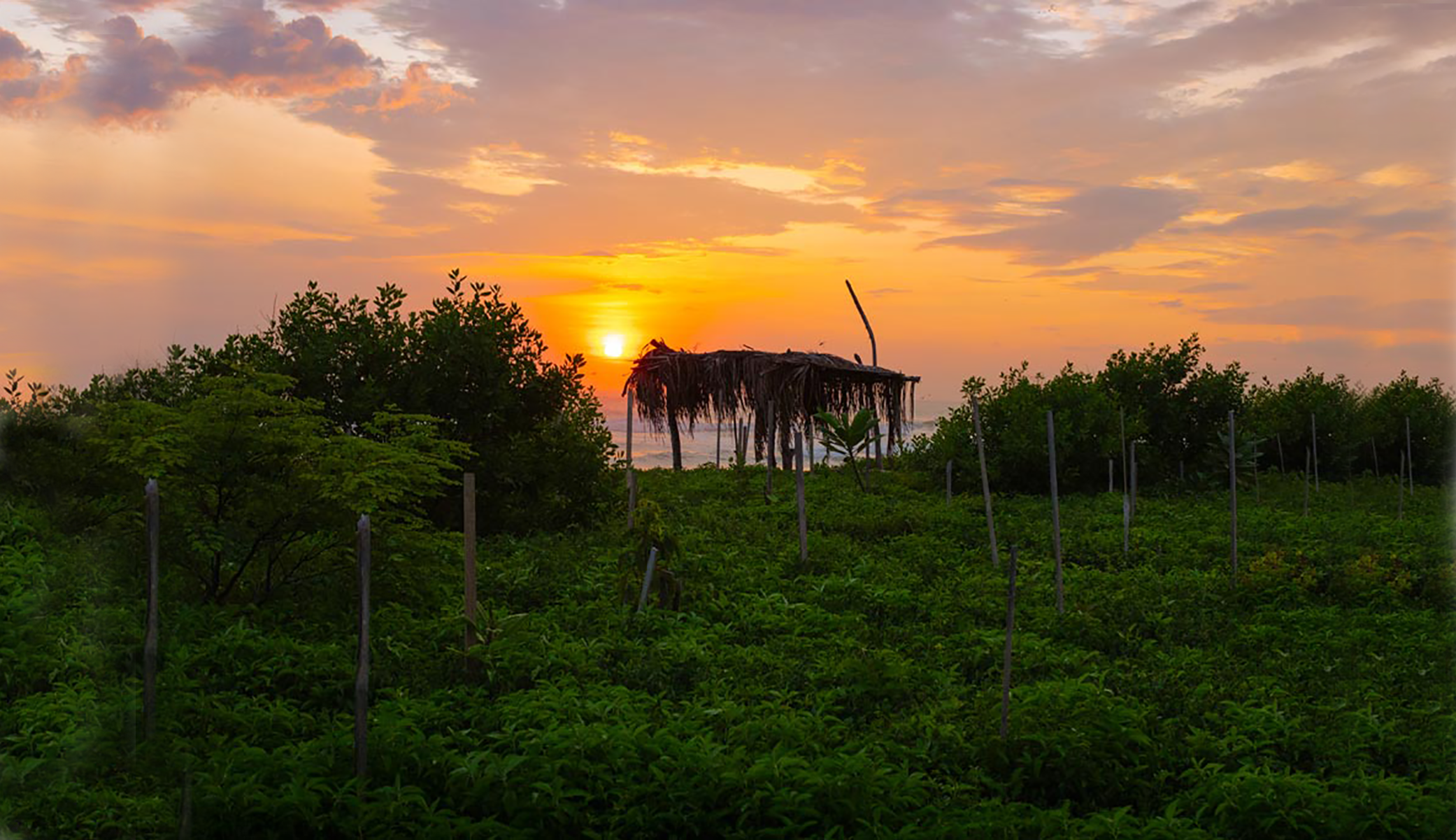 Sunset-on-Guiones_B.png