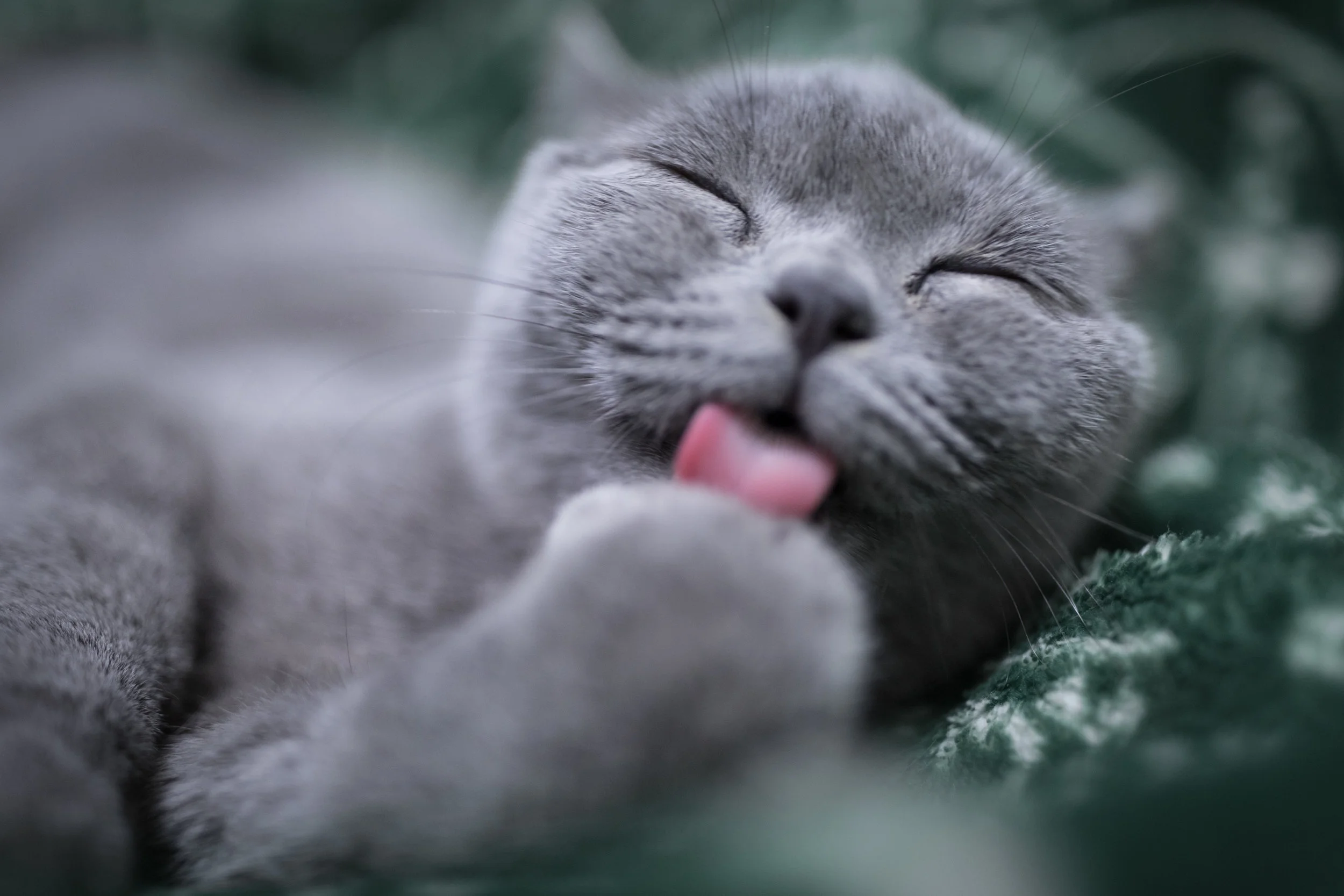 Mistakes are strongly related to fatigue levels