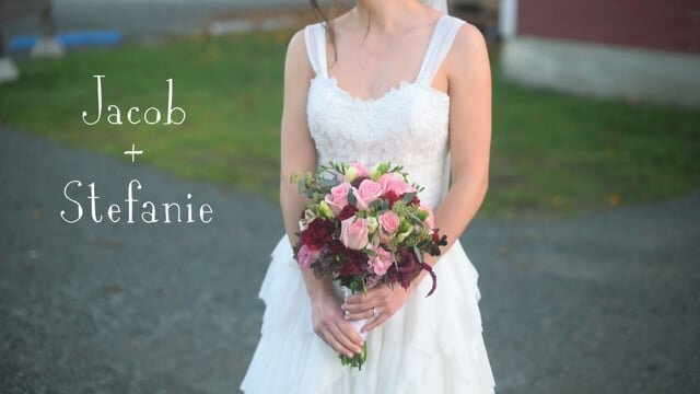 jacob + stefanie | wedding highlight