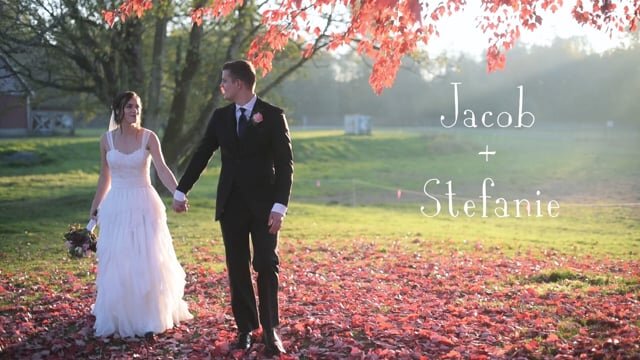 jacob + stefanie | wedding highlight (condensed)