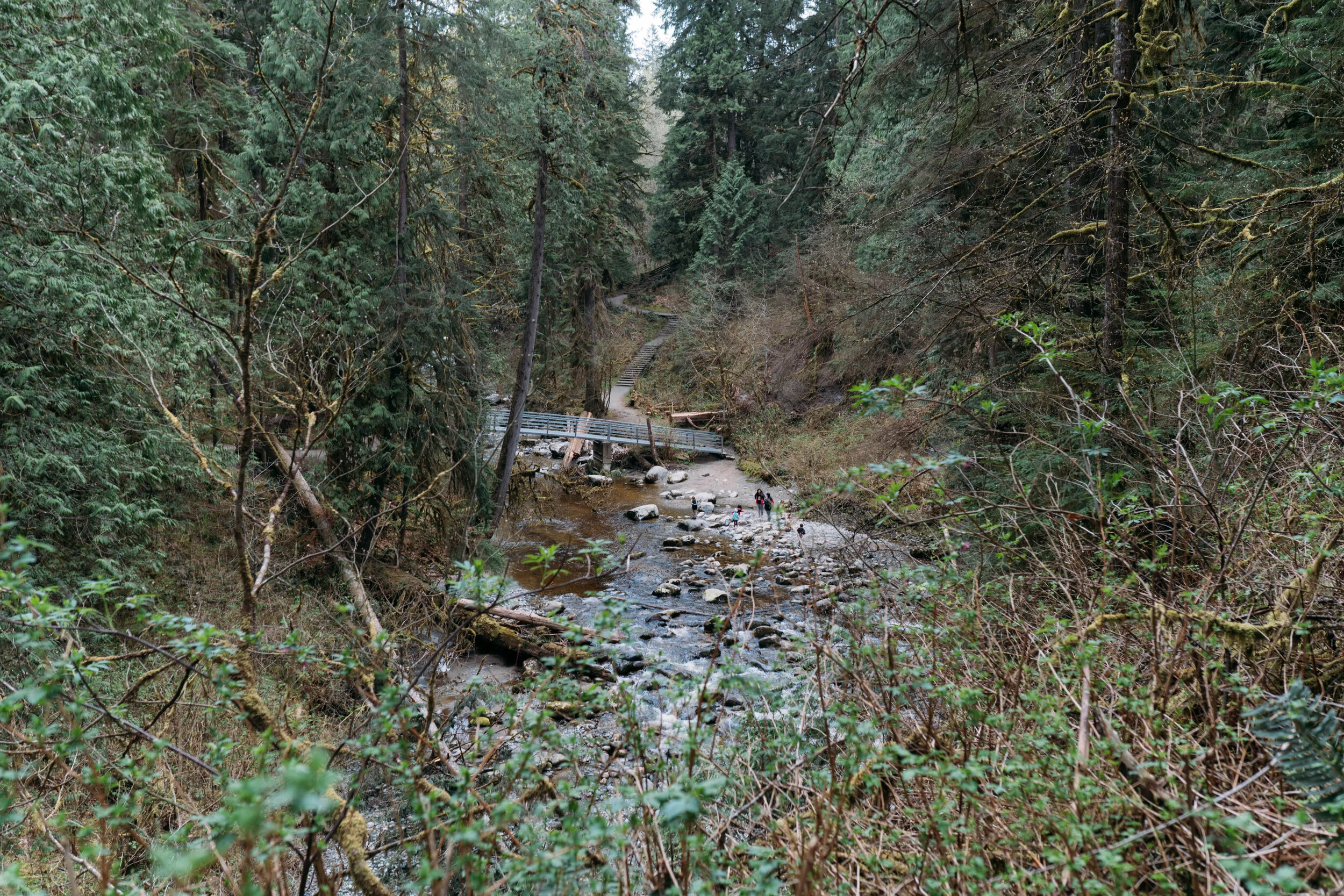 WDY06200.jpg