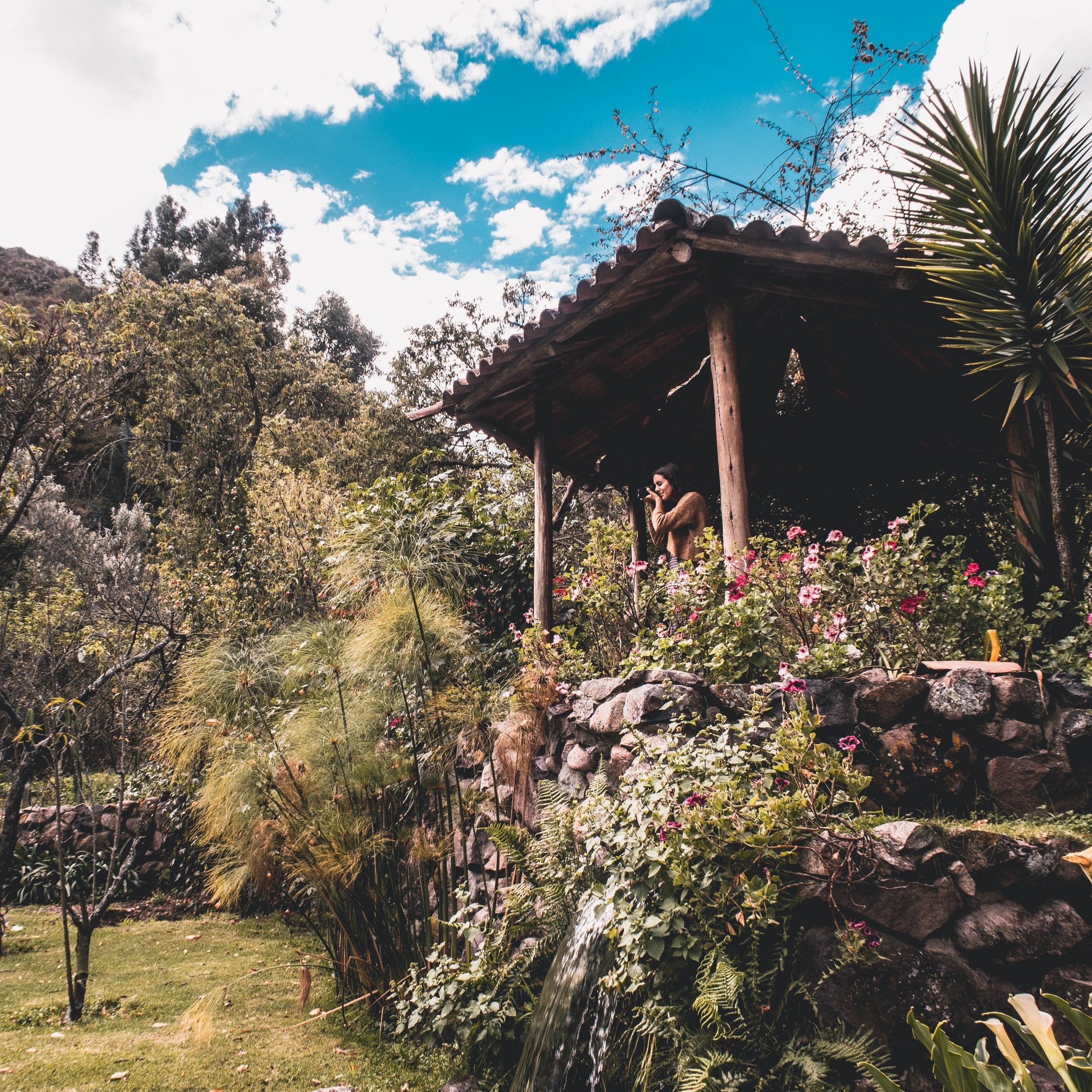 Jardin+Lifestyle+-+Cake.jpg