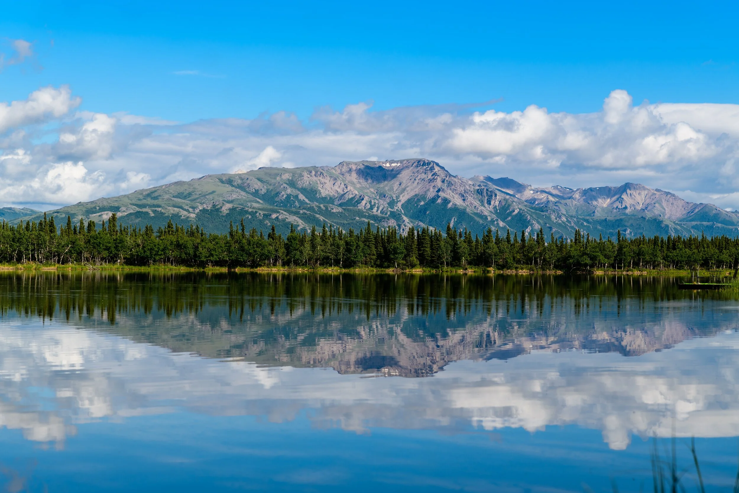Alaska Cruising is Back! (Archived)