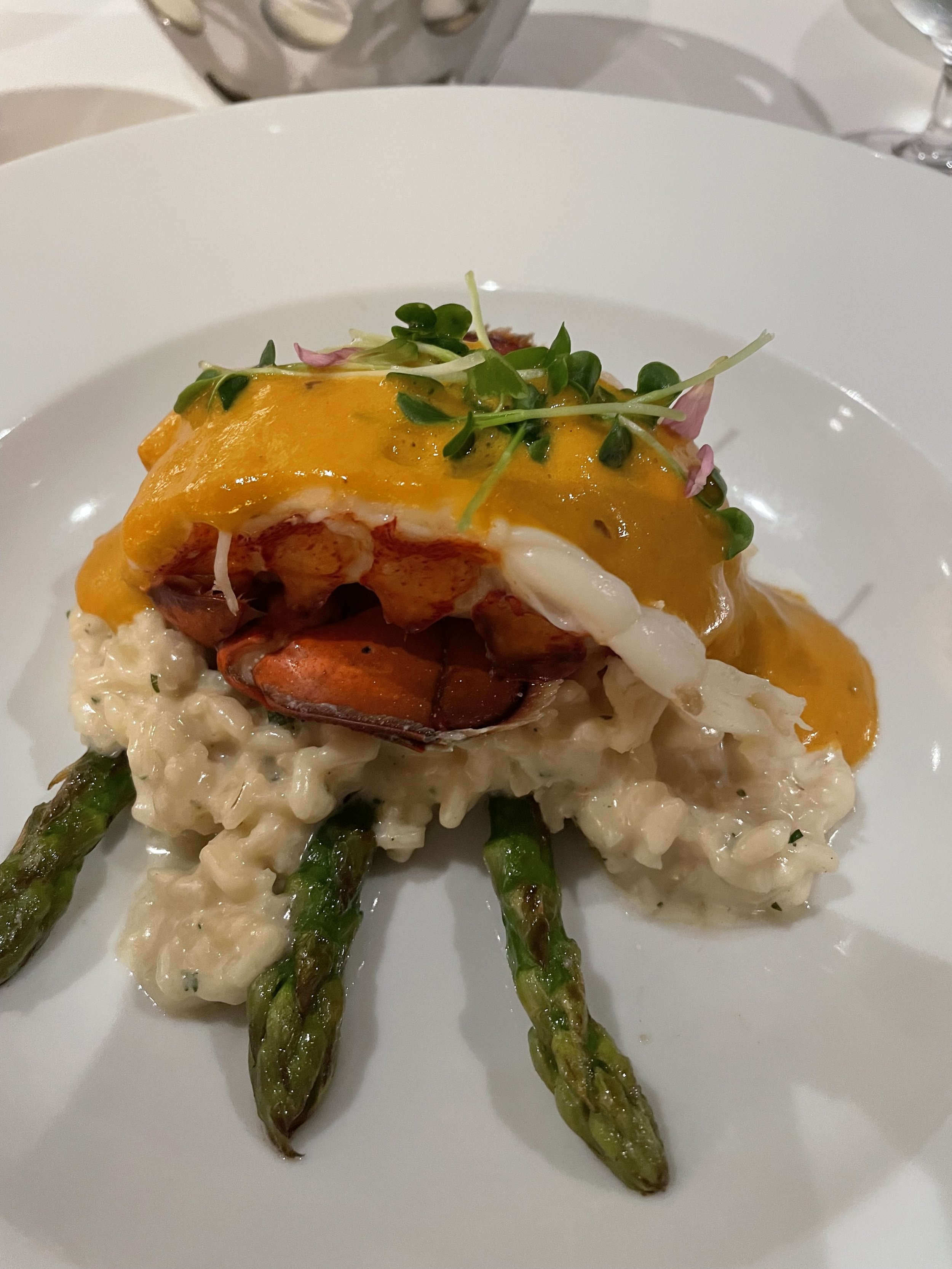 Glazed Lobster Tail on Risotto (Amphora)