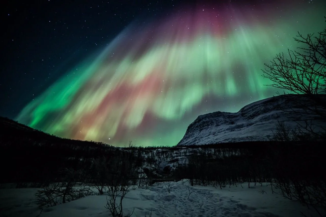 Cunard’s Top 10 Luxurious Shore Experiences