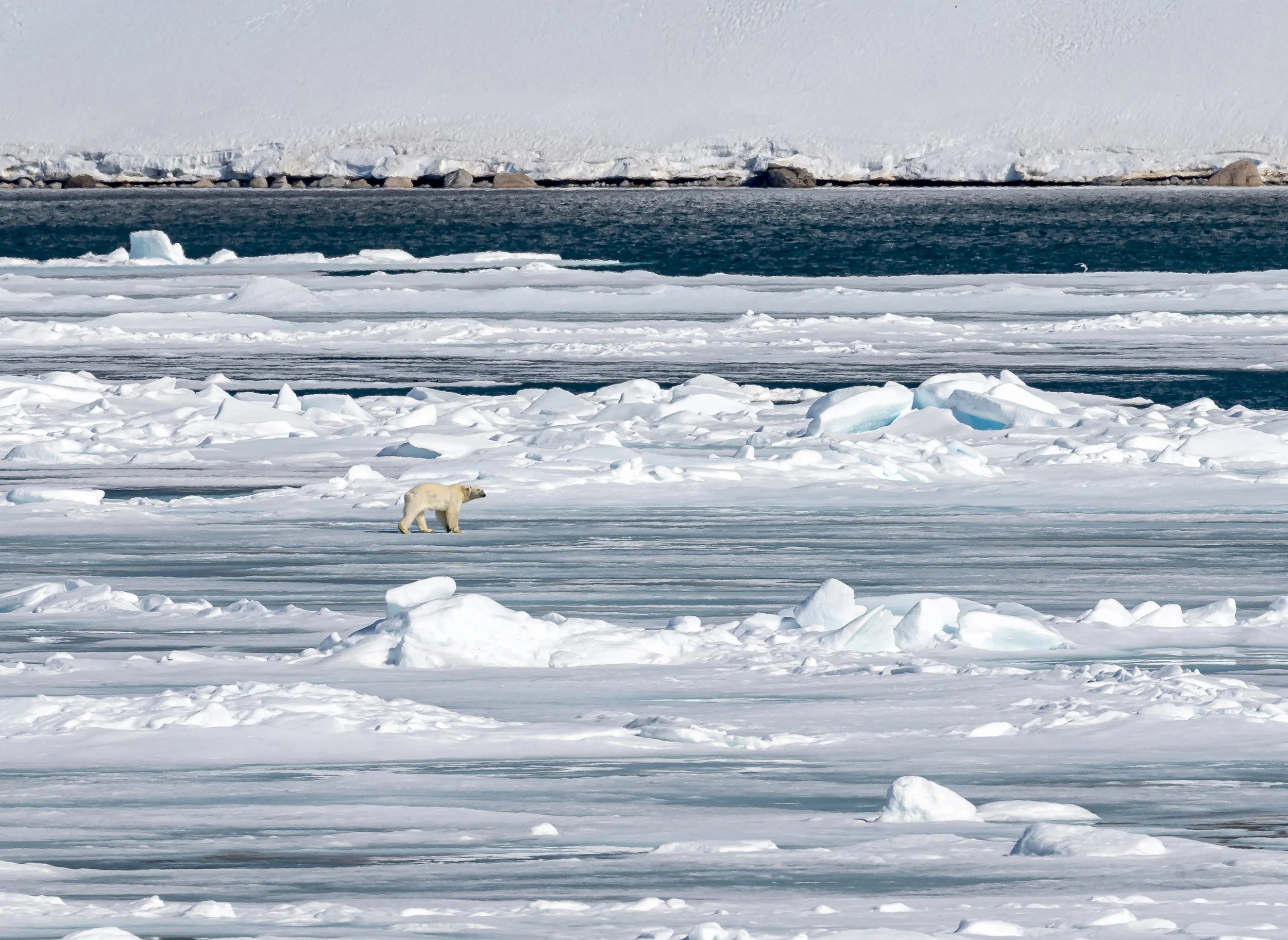 Black Friday 2024 Deals From HX