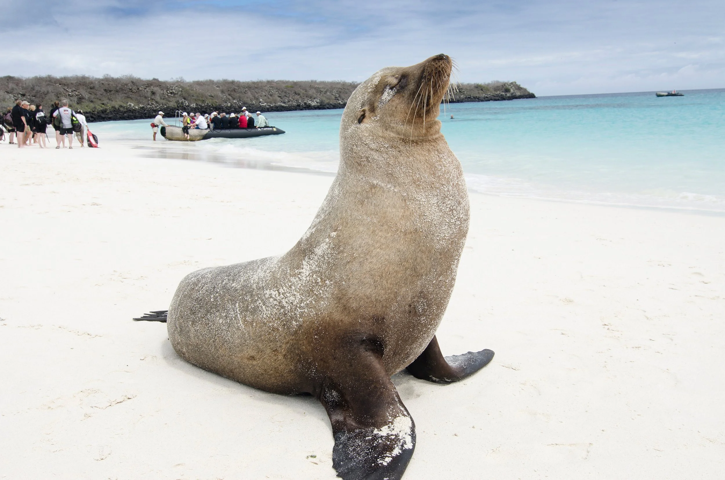 Celebrity Flora’s 2027 Galápagos Expeditions Now Open for Booking