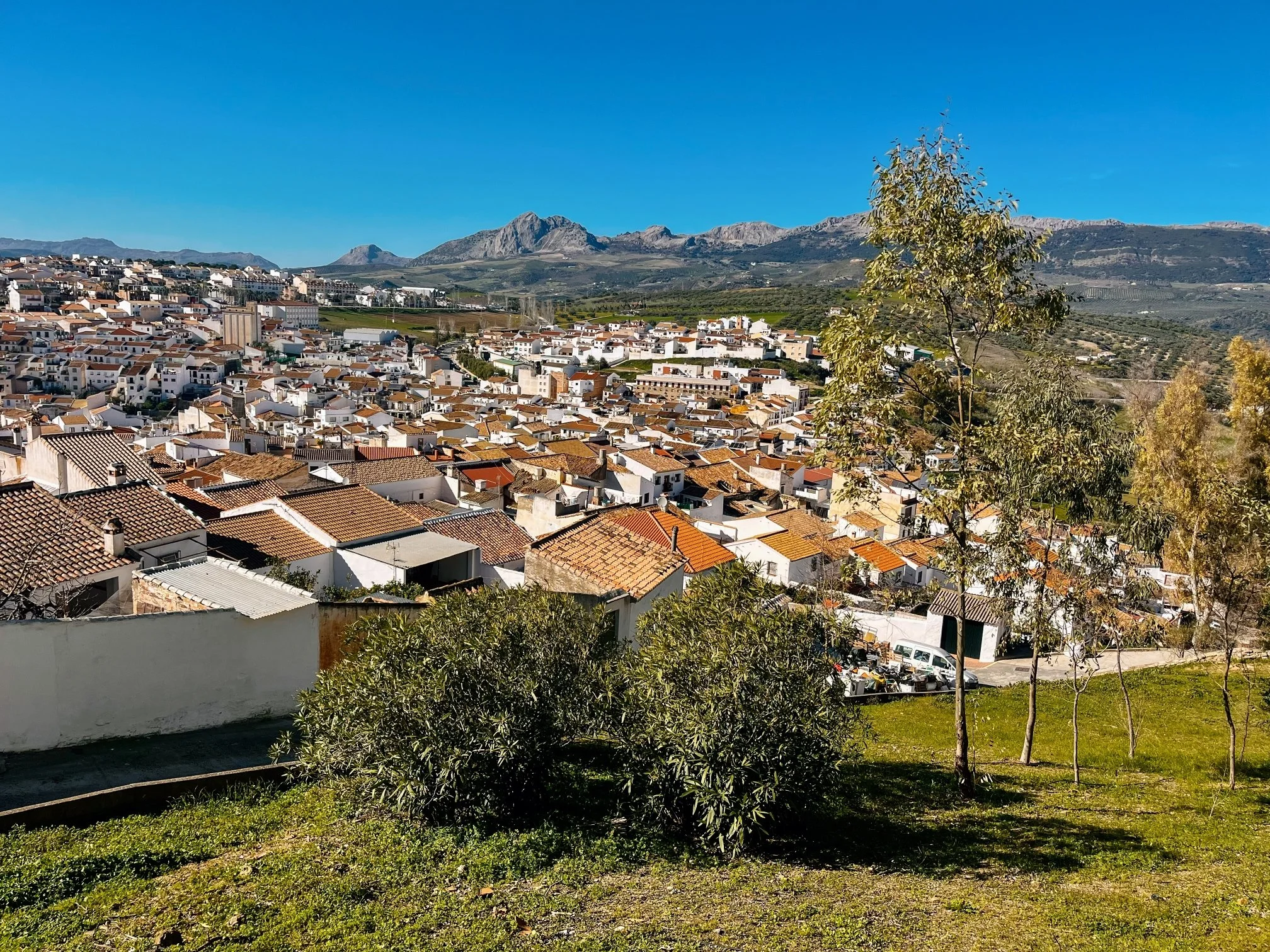 Celestyal launches 190 new winter Mediterranean shore excursions