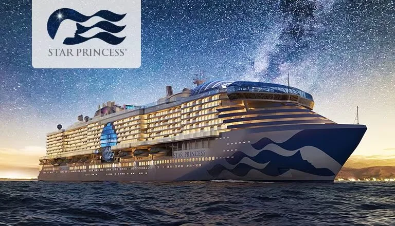 Exterior of Star Princess cruise ship at sea under a starry sky