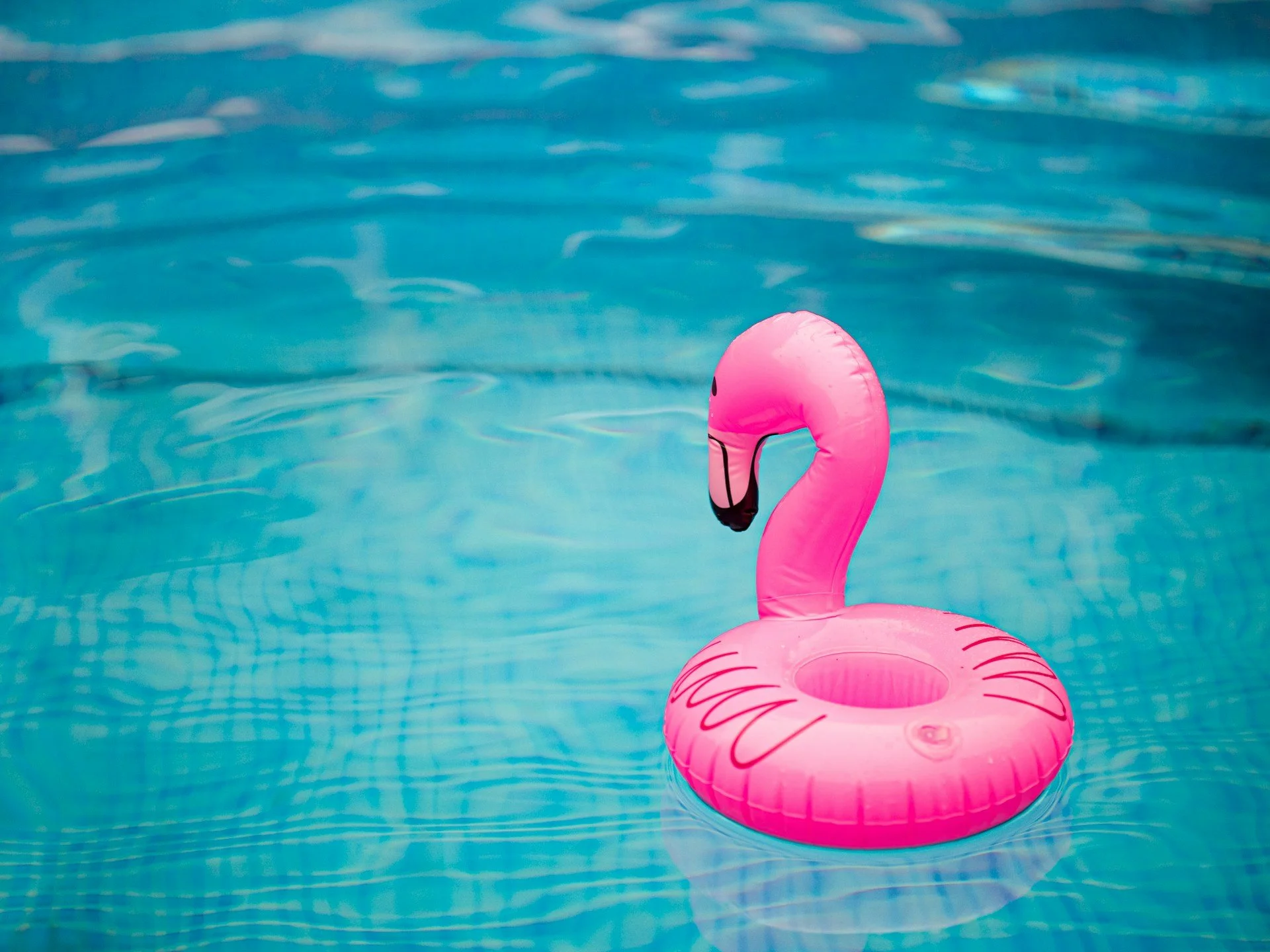 pinkn flamingo floaty in a swimming pool