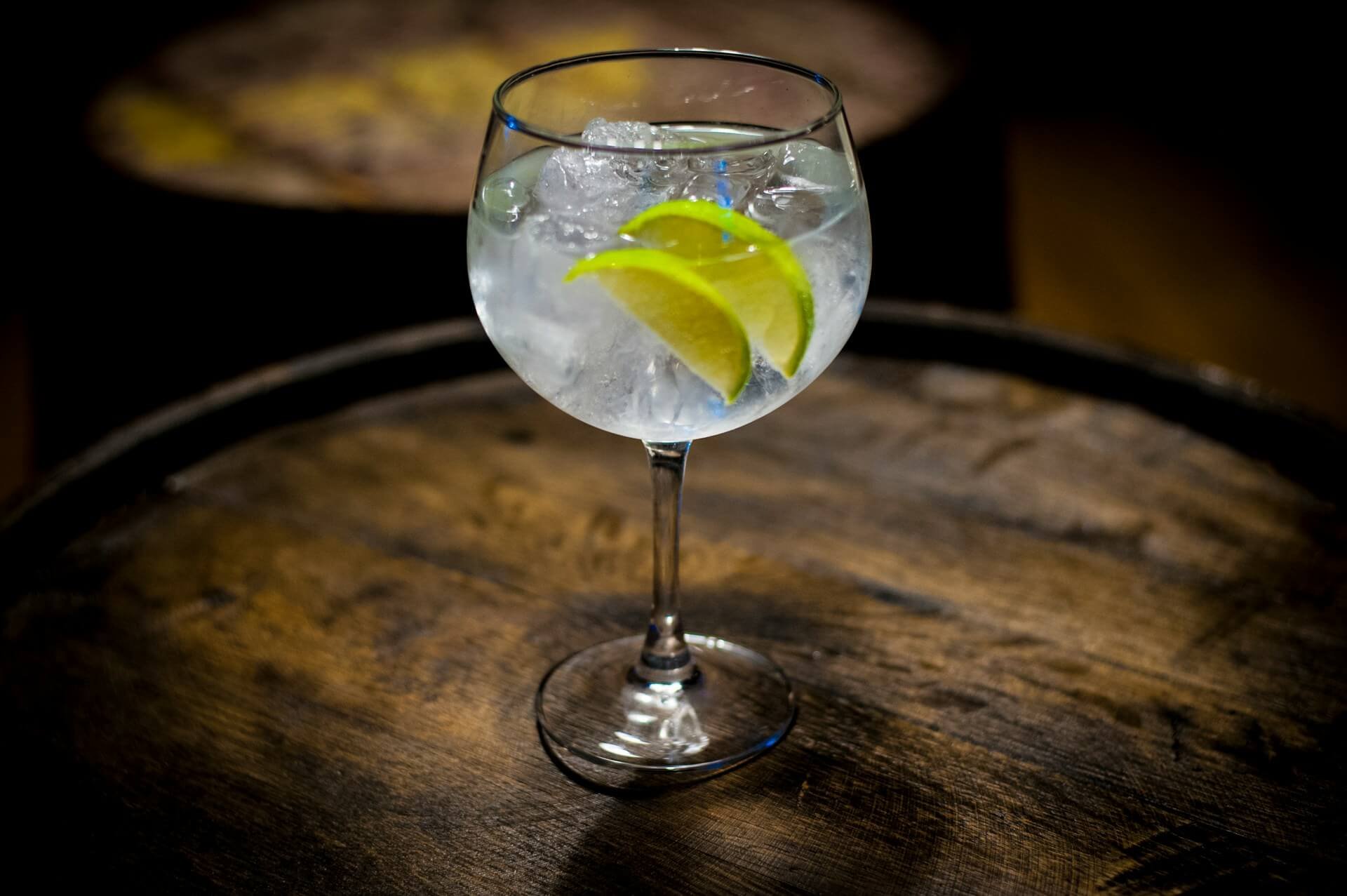 A round spirit or wine class with carbonated clear liquid and slices of lime presumably a gin or vodka and tonic