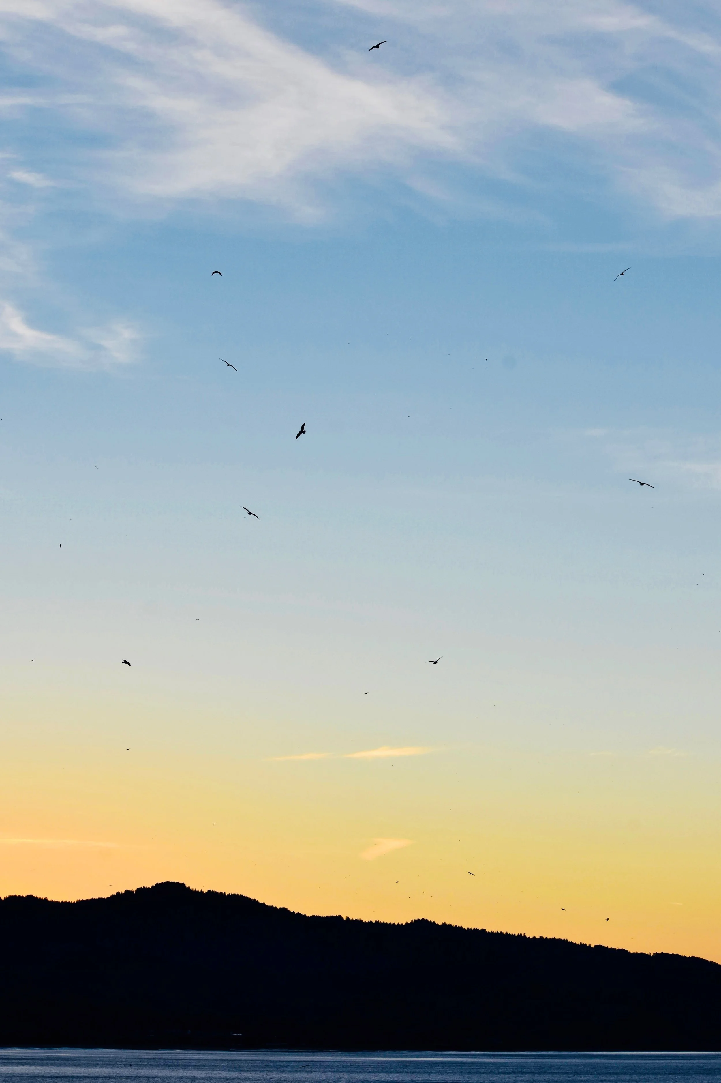 Sunrise Flight Photo // Jenni Anspach
