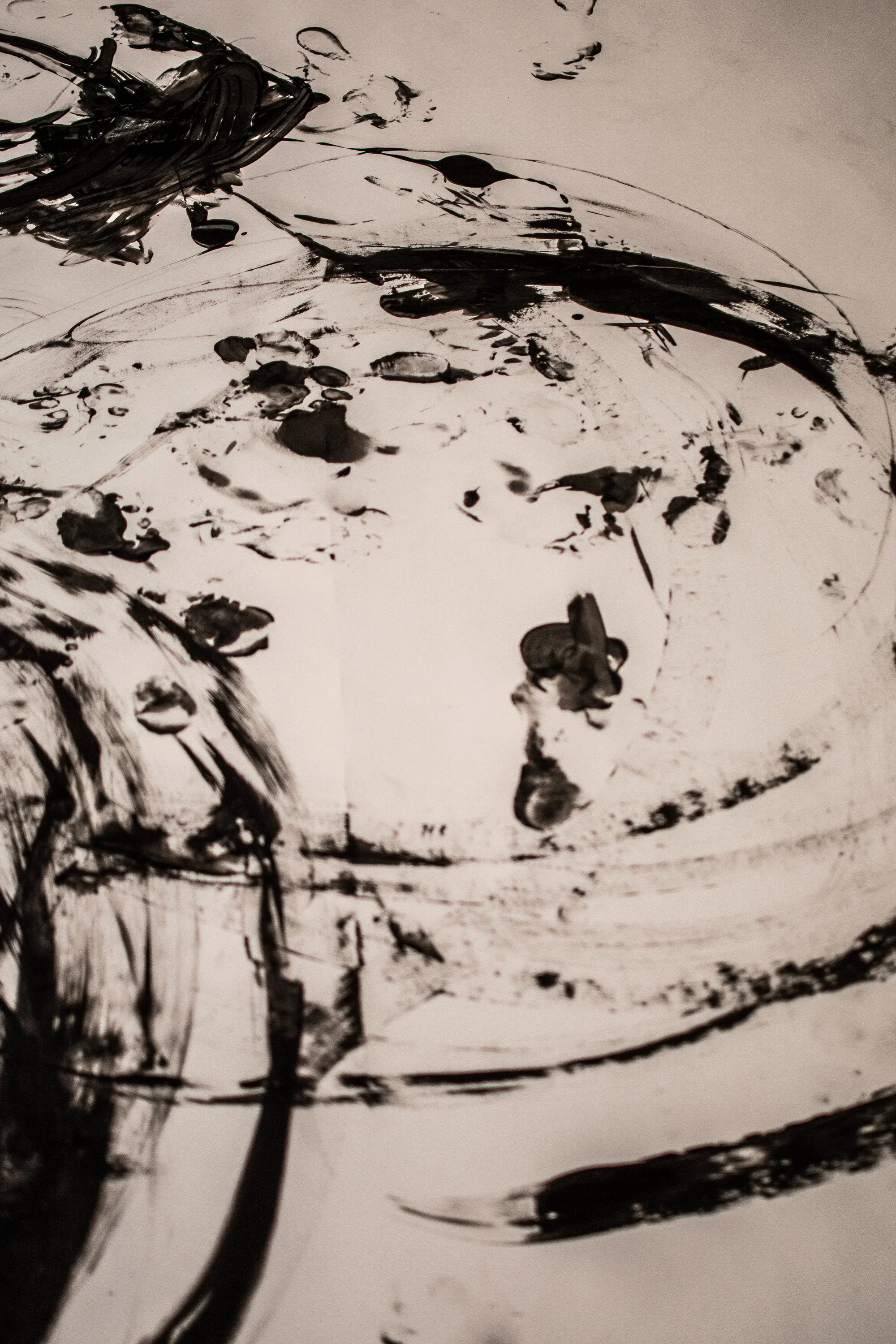 Art Dance Project 2019-0130.jpg