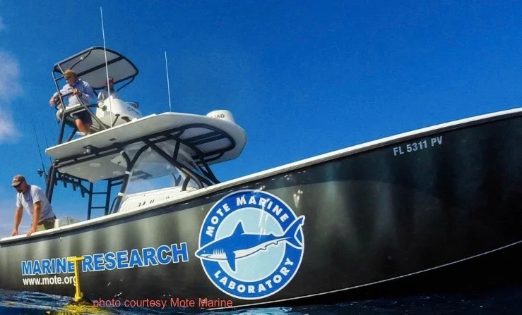 Mote Marine Laboratory & Aquarium