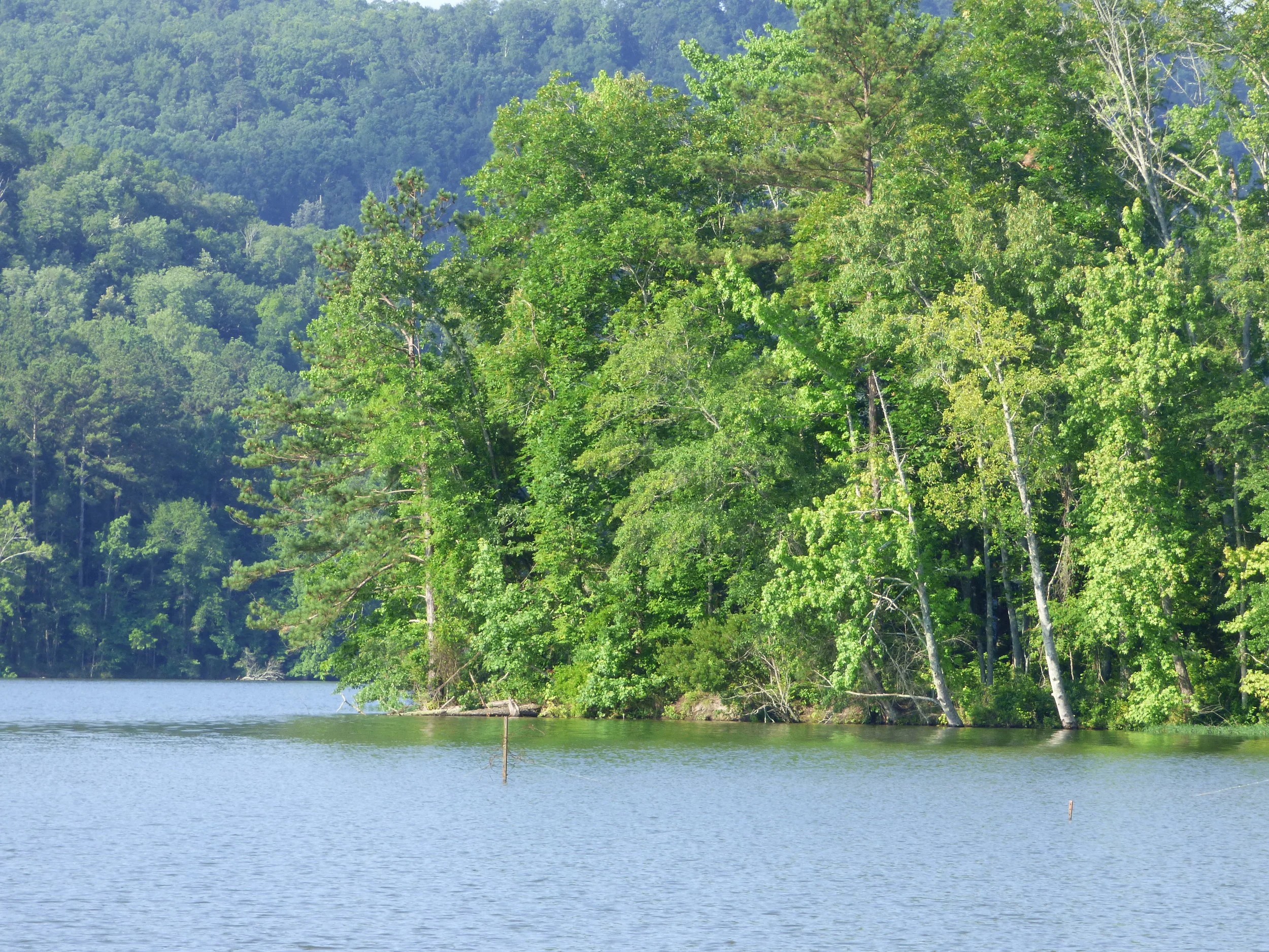 RV Park & Campground Near Gadsden, AL Greensport RV Park & Campground