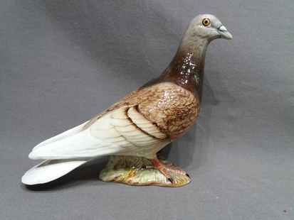 pidgeon 2.jpg
