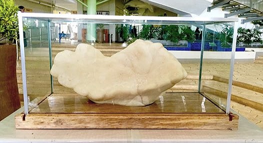 The Pearl of Puerto