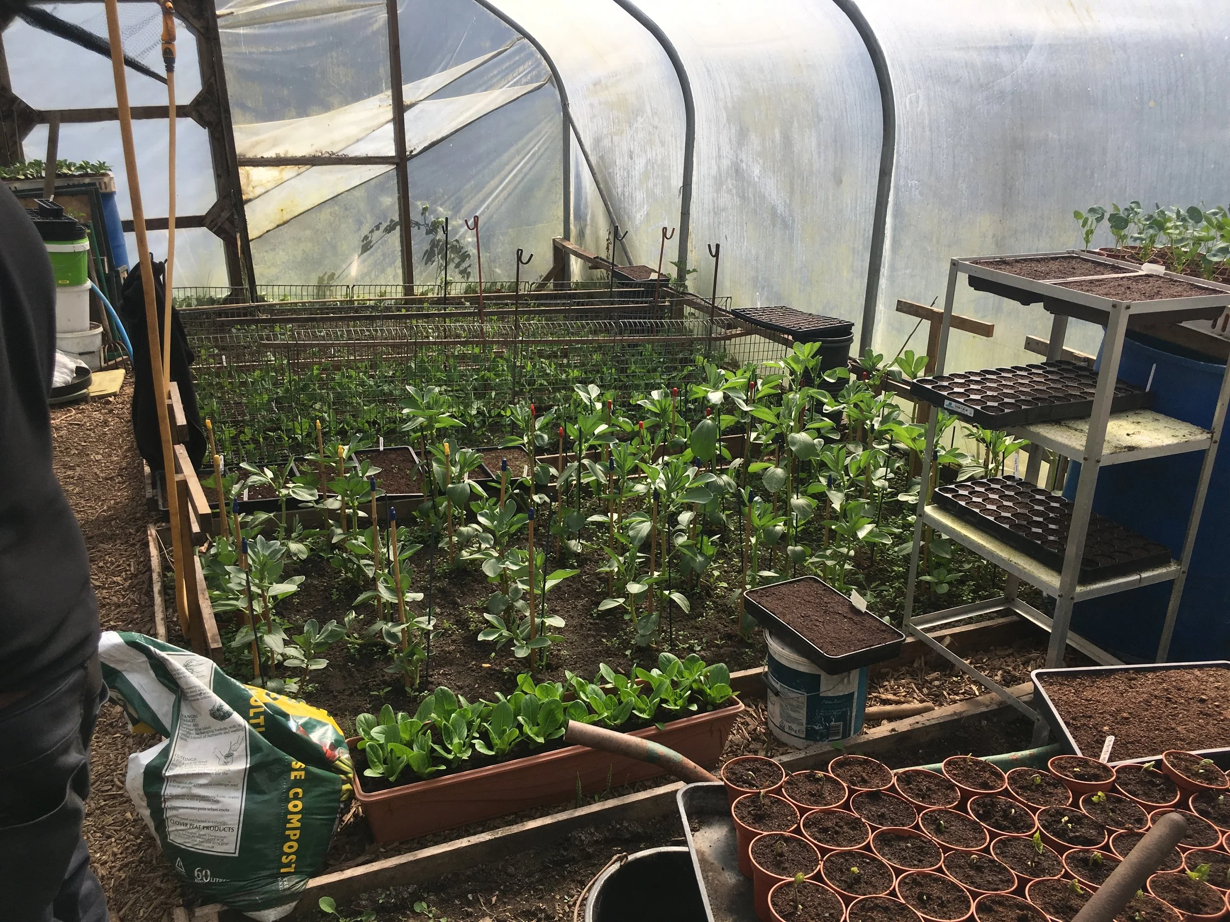 Poly Tunnel.jpeg