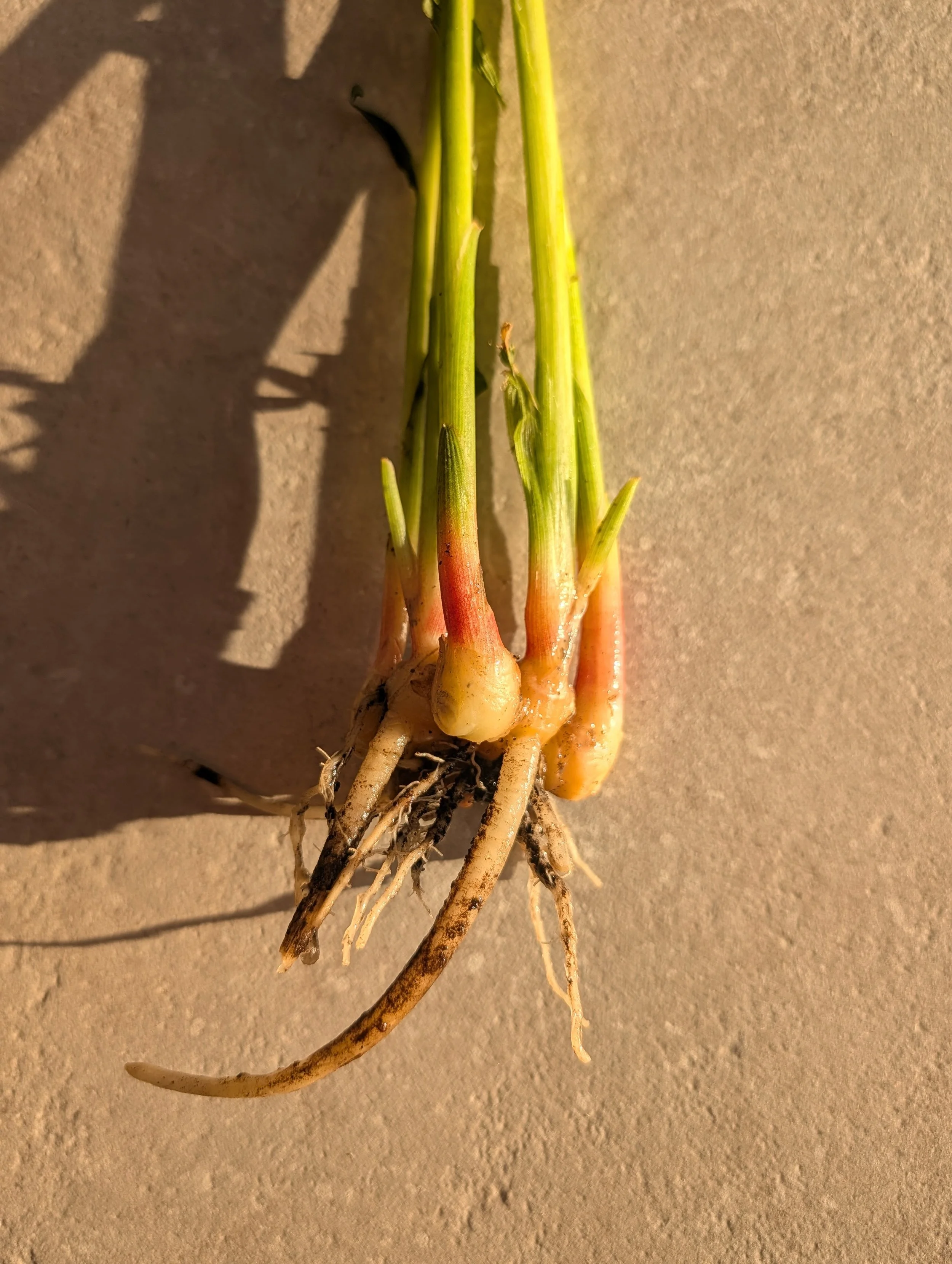 A Catch-up After a Busy Start of Autumn.